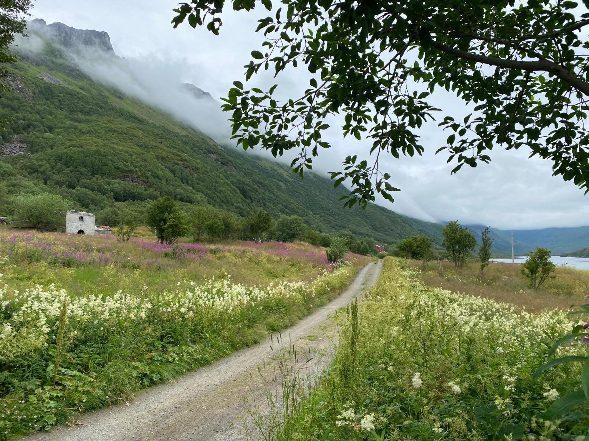 Wilderness House Villa Urda Eksteriør bilde